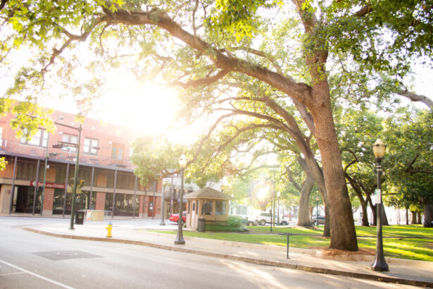 A Fresh Look at the Latest Mobile Game: [Name of Game] Review