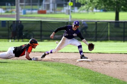 Portable Baseball Fun: Enjoying Super Mega Baseball on the Go